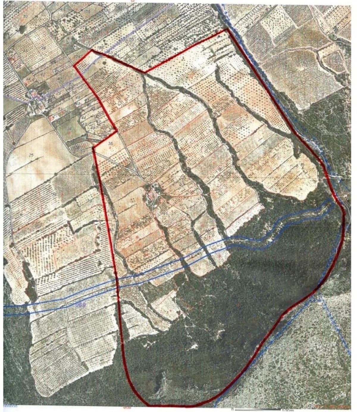Property main view 2