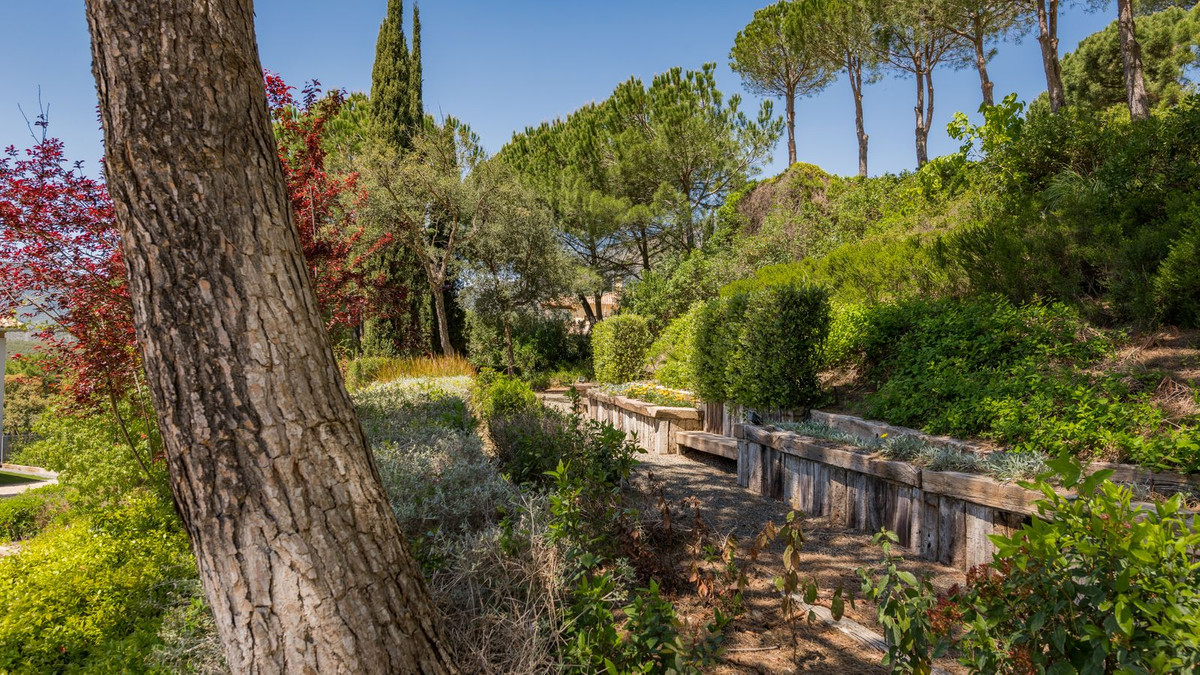 Property main view 24