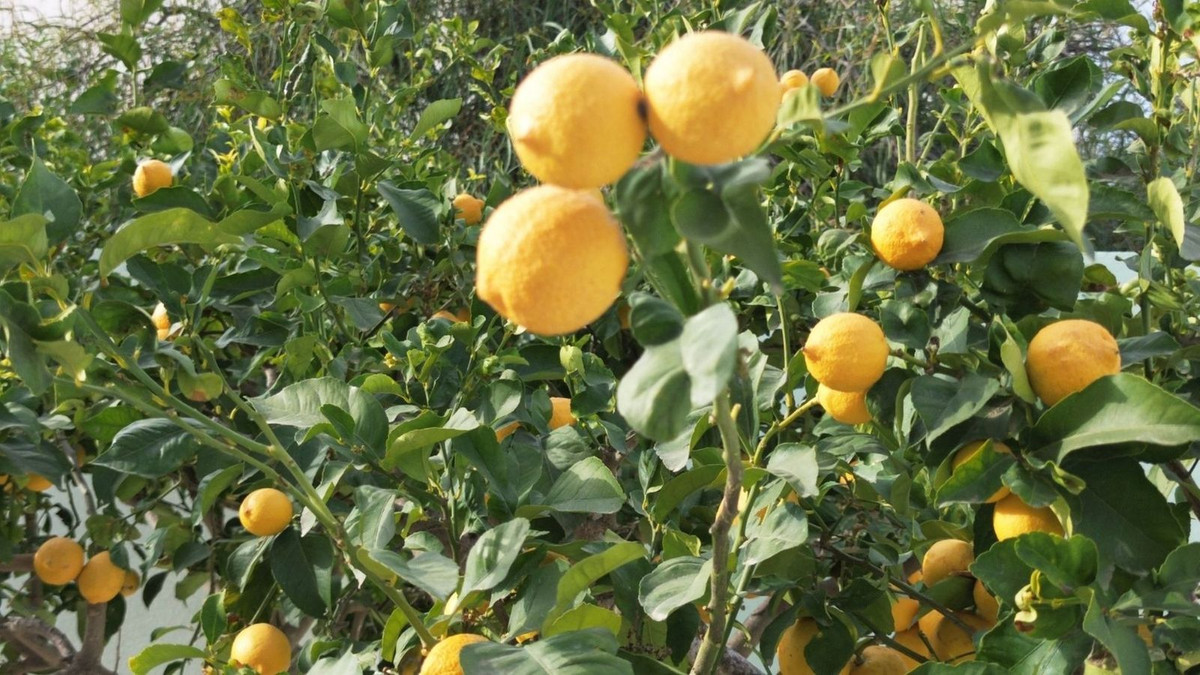 Property main view 48