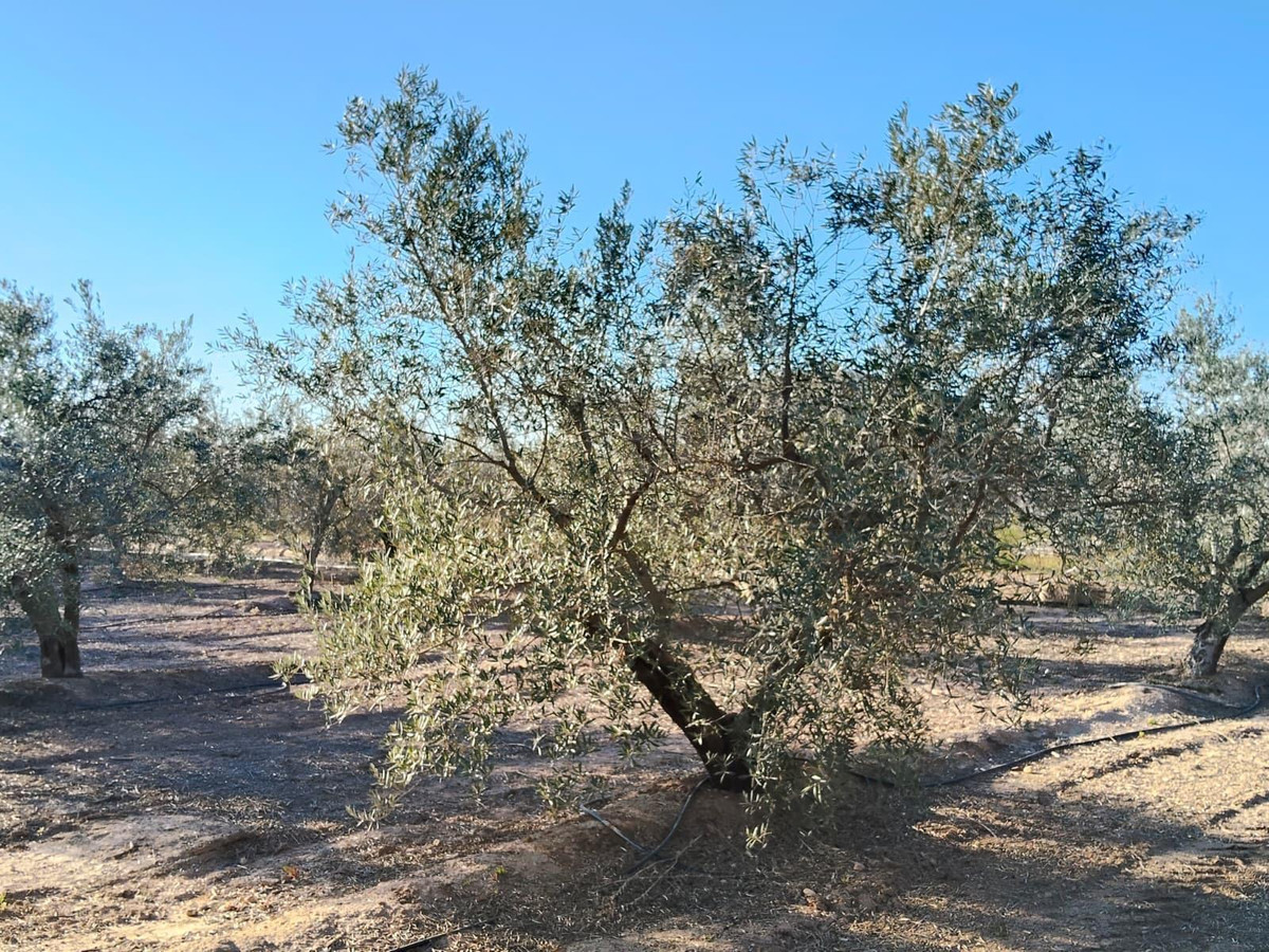 Property main view 22