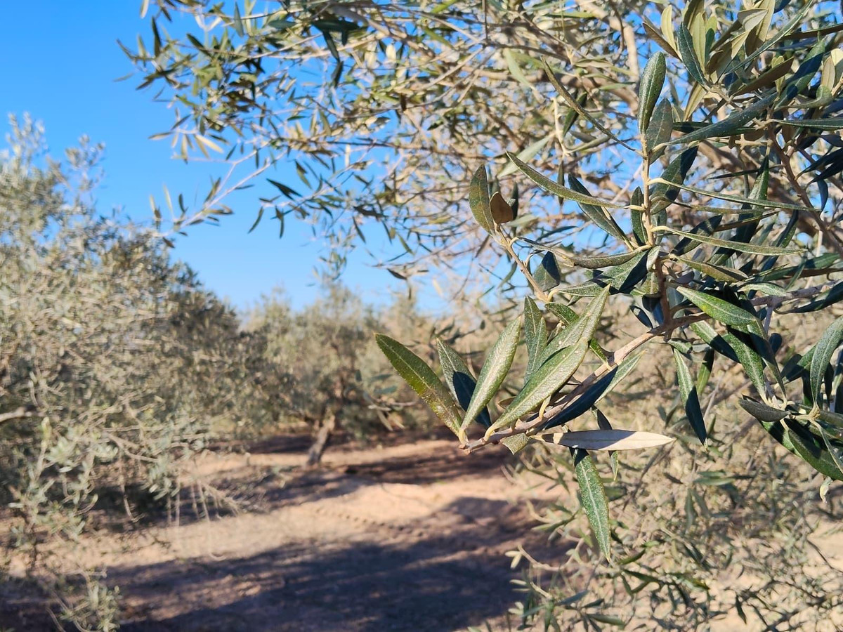 Property main view 23