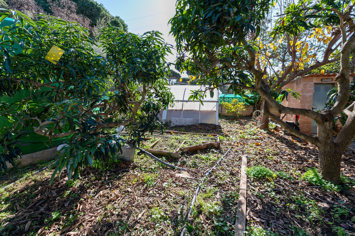 Huis te koop in Las Chapas | 4 slaapkamers H4905580