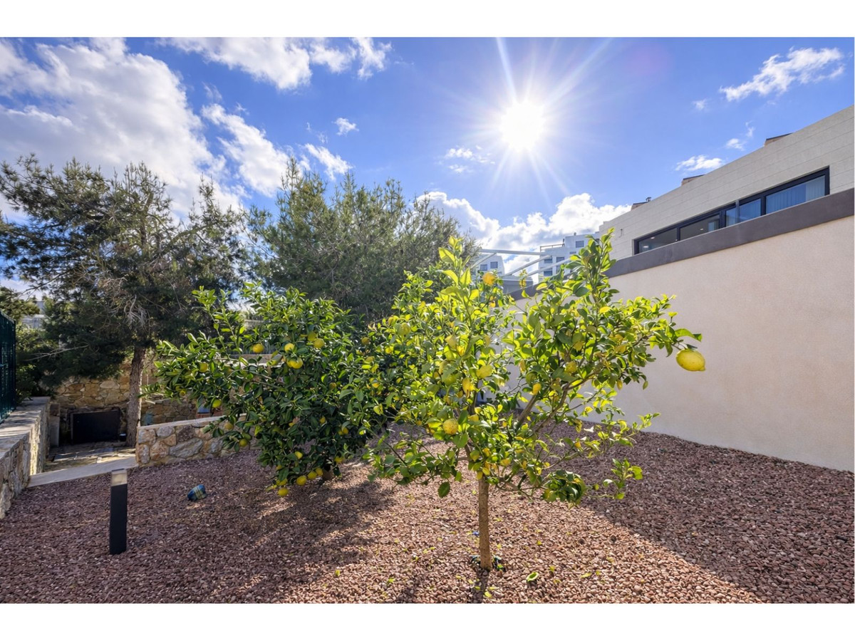 Huis te koop in Las Colinas Golf | 4 slaapkamers H5257588