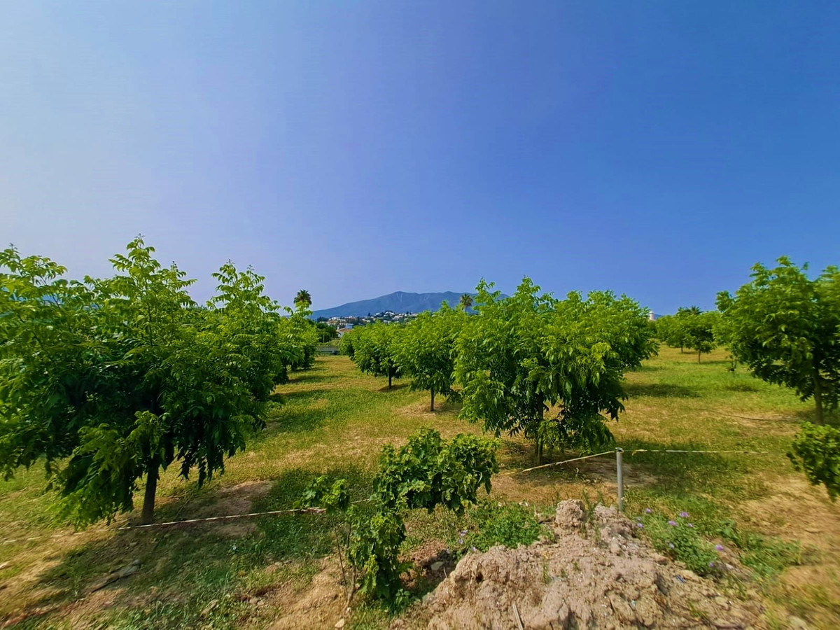 Property main view 13