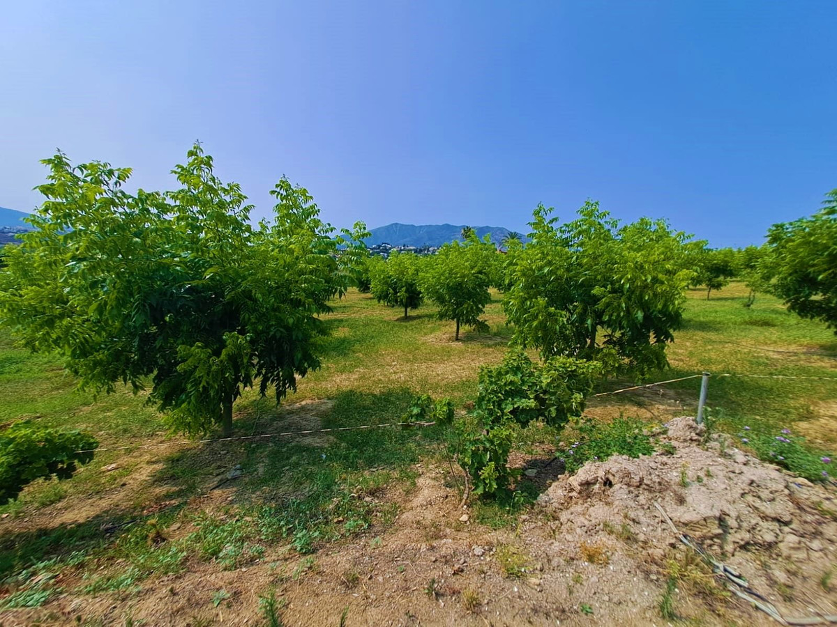 Property main view 16