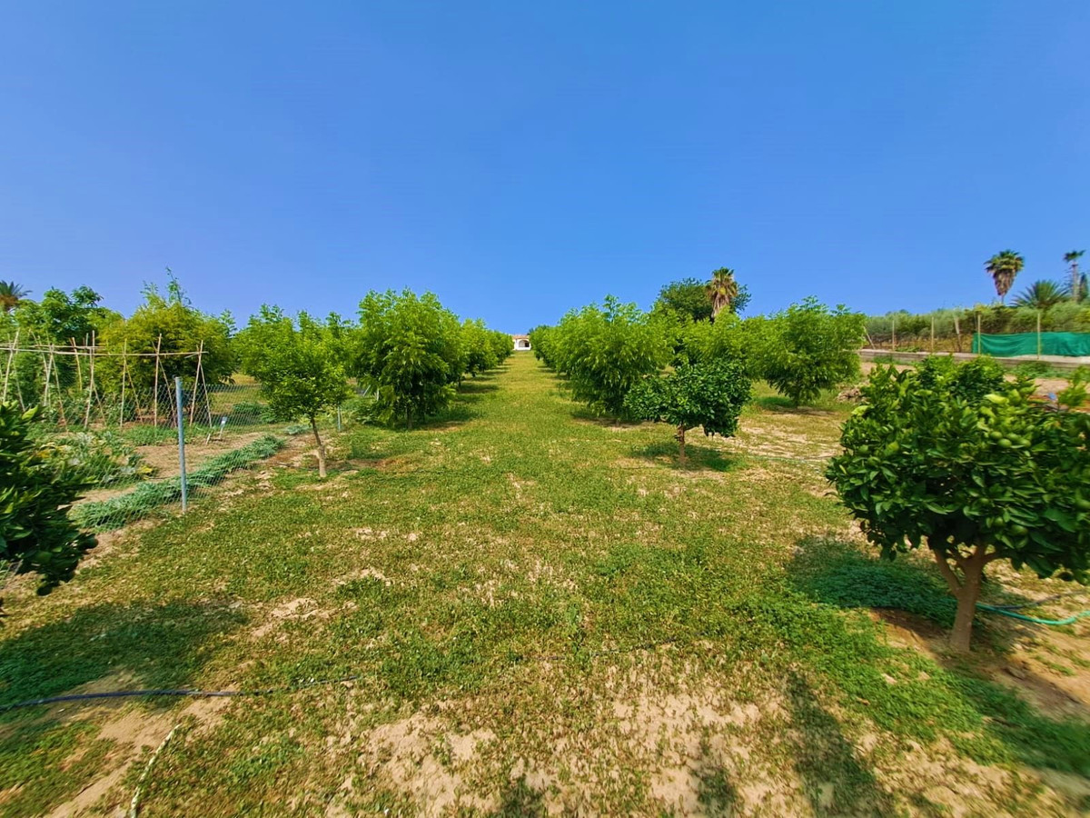 Property main view 19