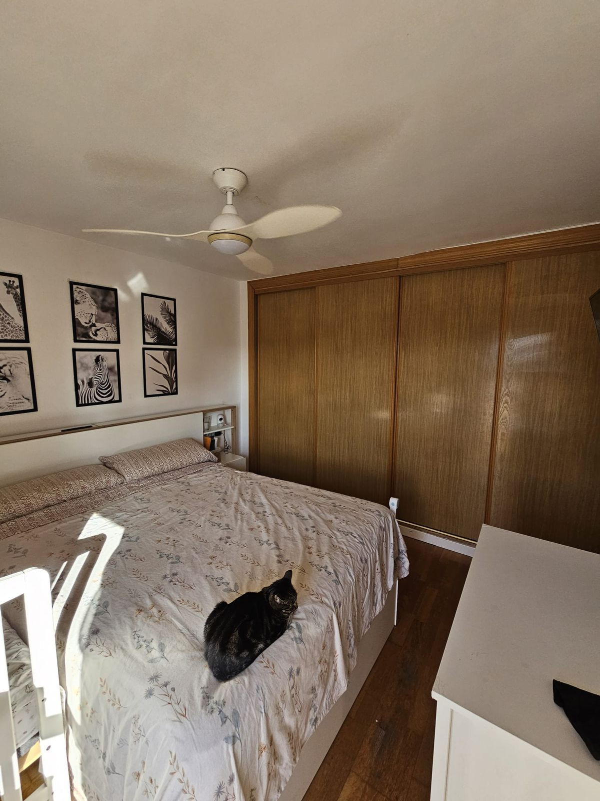 Property main view 9