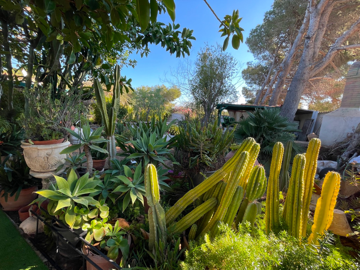 Huis te koop in Lomas de Cabo Roig | 5 slaapkamers H4274692