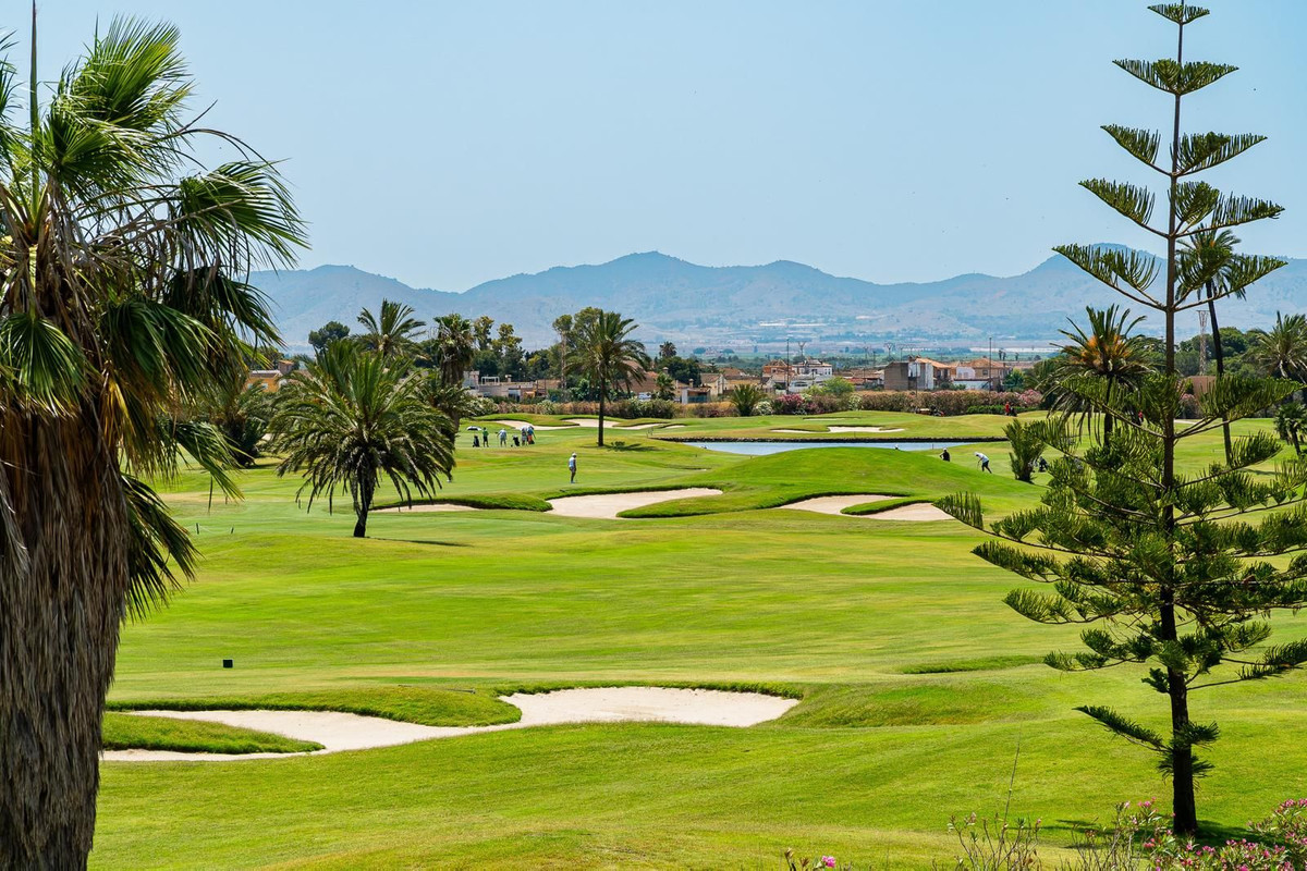 Property main view 50