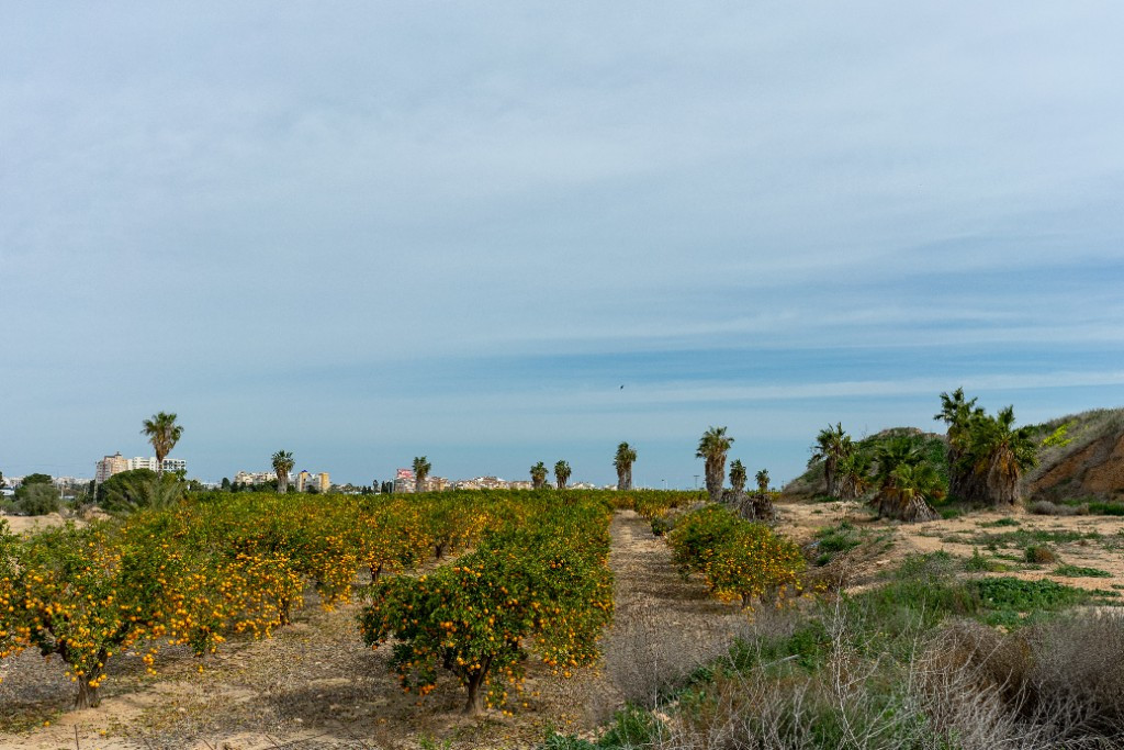 Huis te koop in Los Altos | 2 slaapkamers H5265367