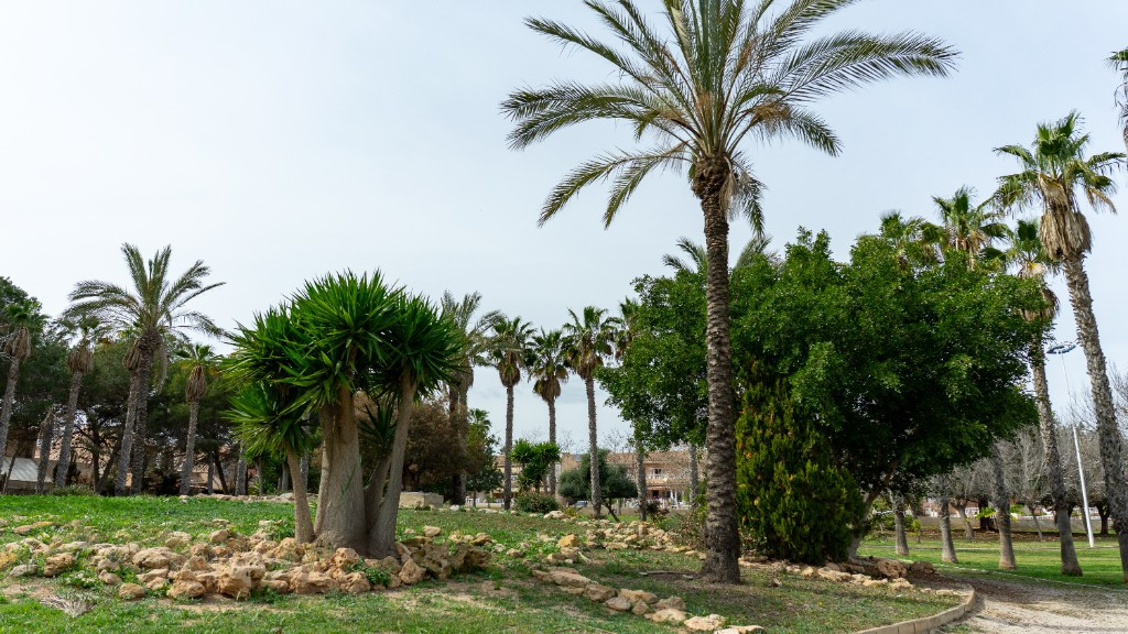 Huis te koop in Los Altos | 2 slaapkamers H5265367