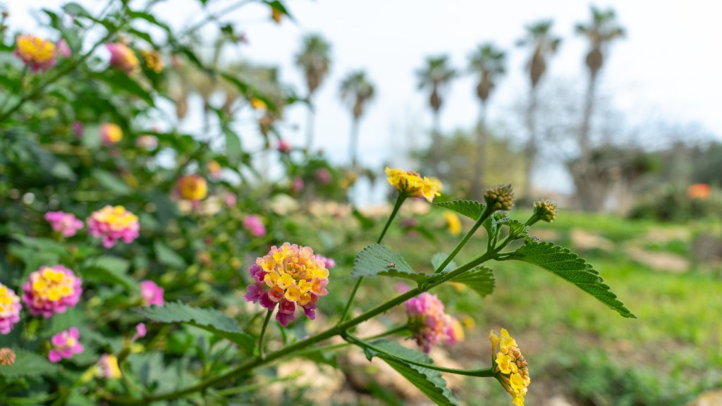 Huis te koop in Los Altos | 2 slaapkamers H5265367