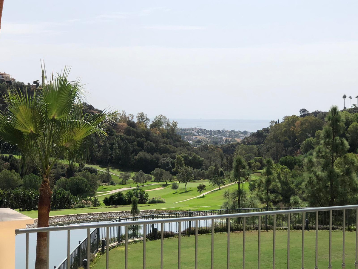 Property main view 52