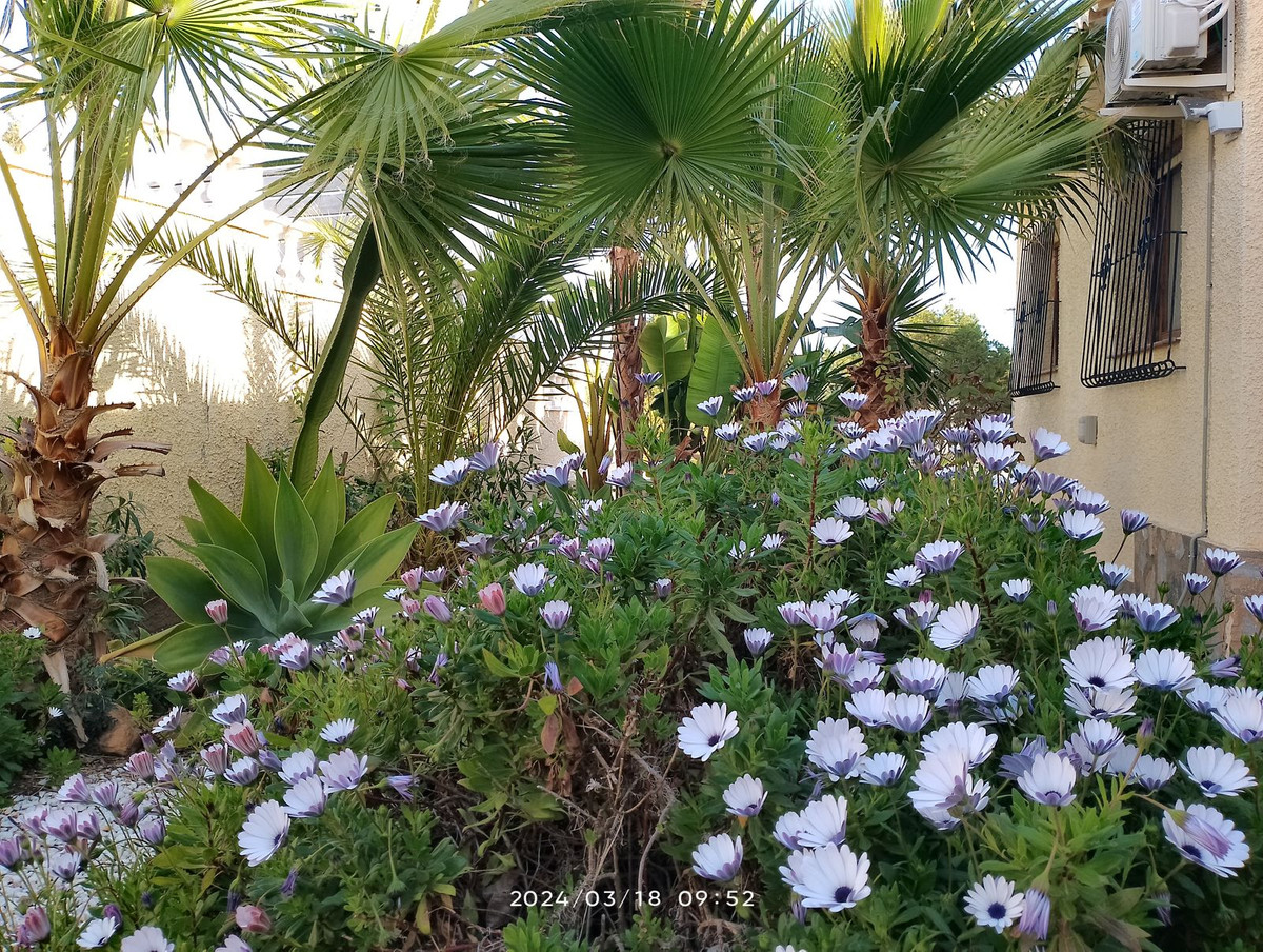 Property main view 14