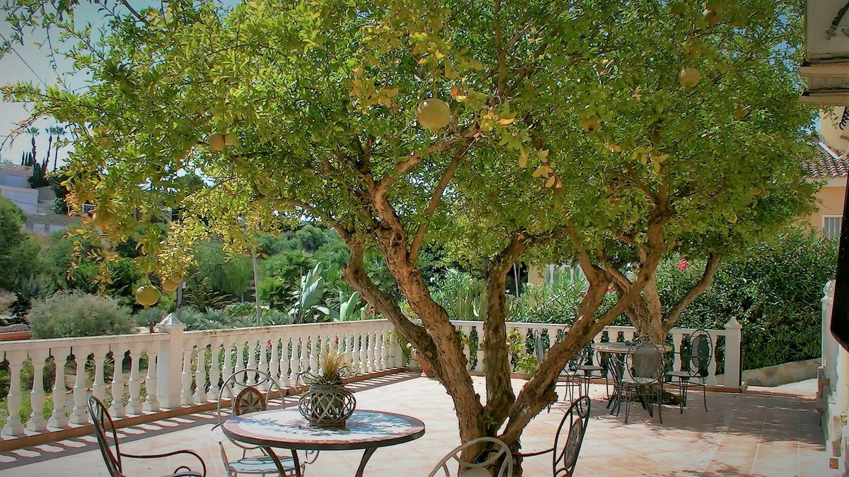 Property main view 8