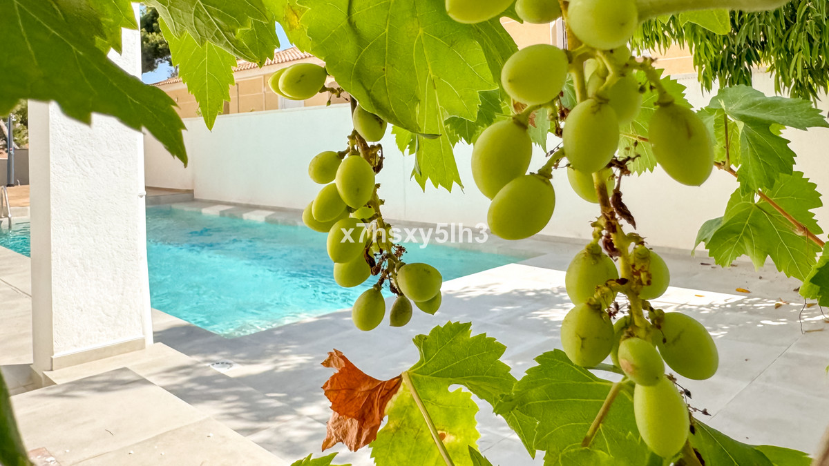 Property main view 27