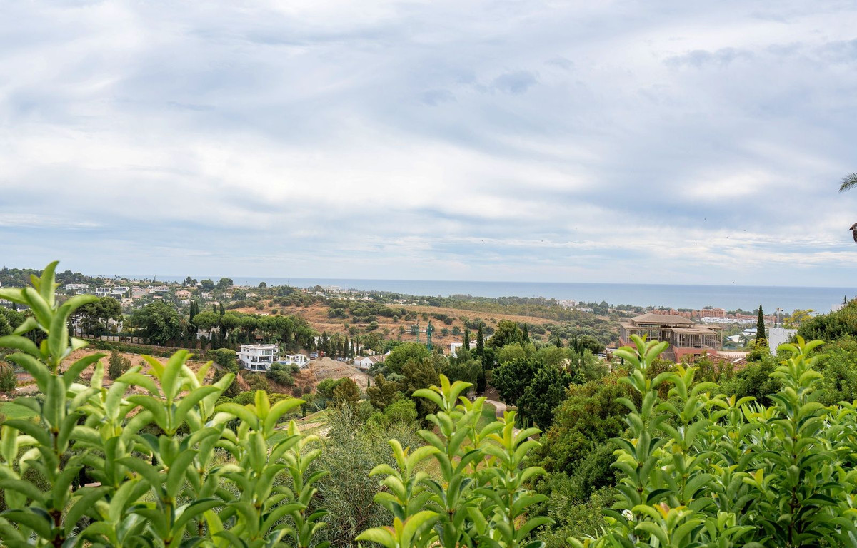 Property main view 42