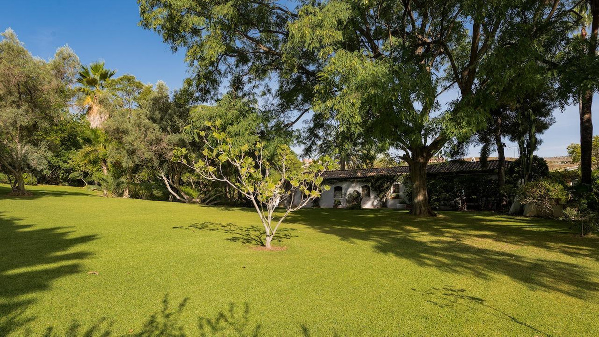 Property main view 31