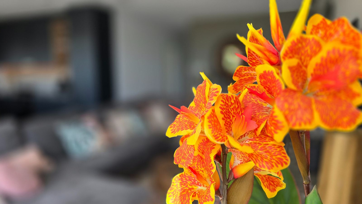 Property main view 35