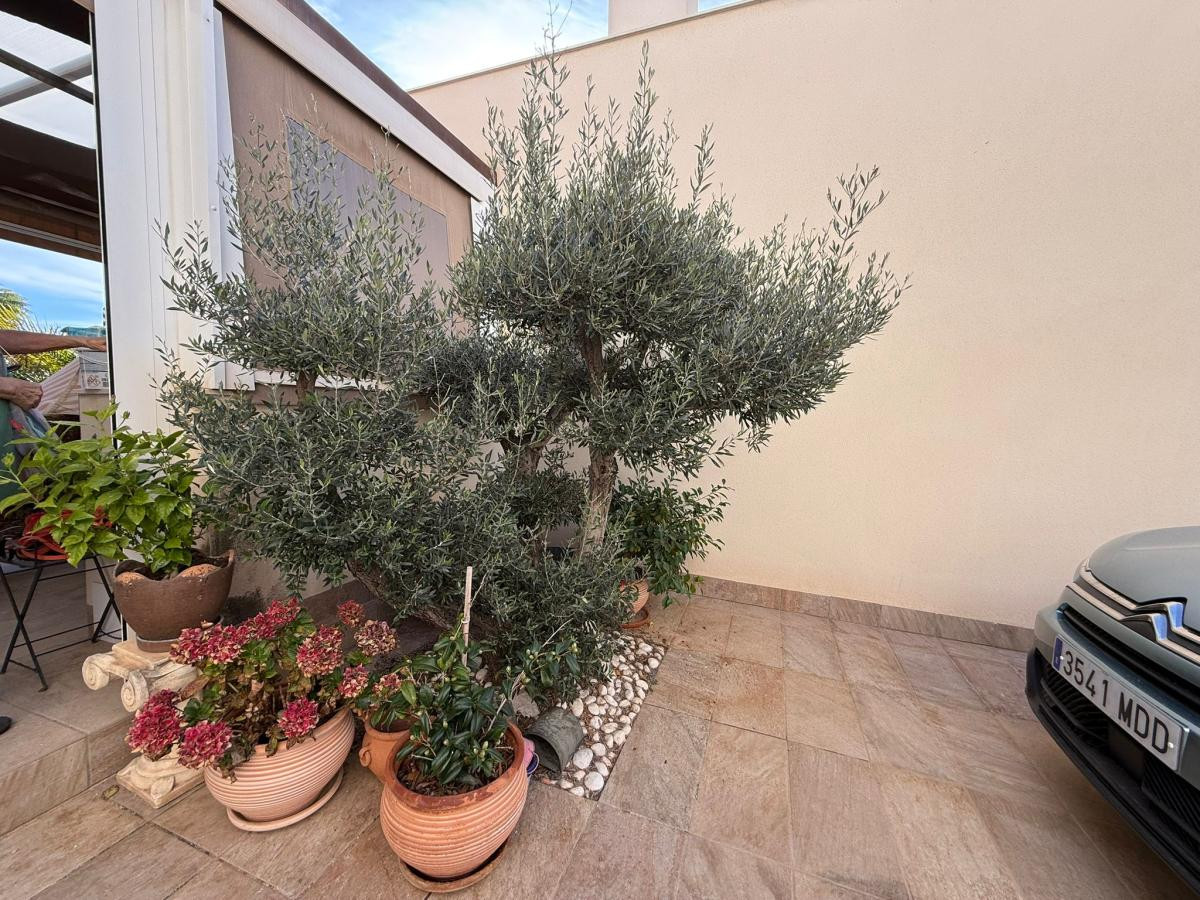 Property main view 12