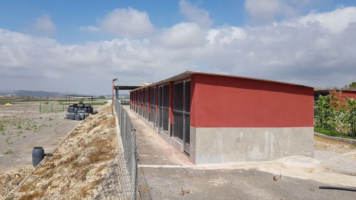 Huis te koop in Los Montesinos | 2 slaapkamers H5357896