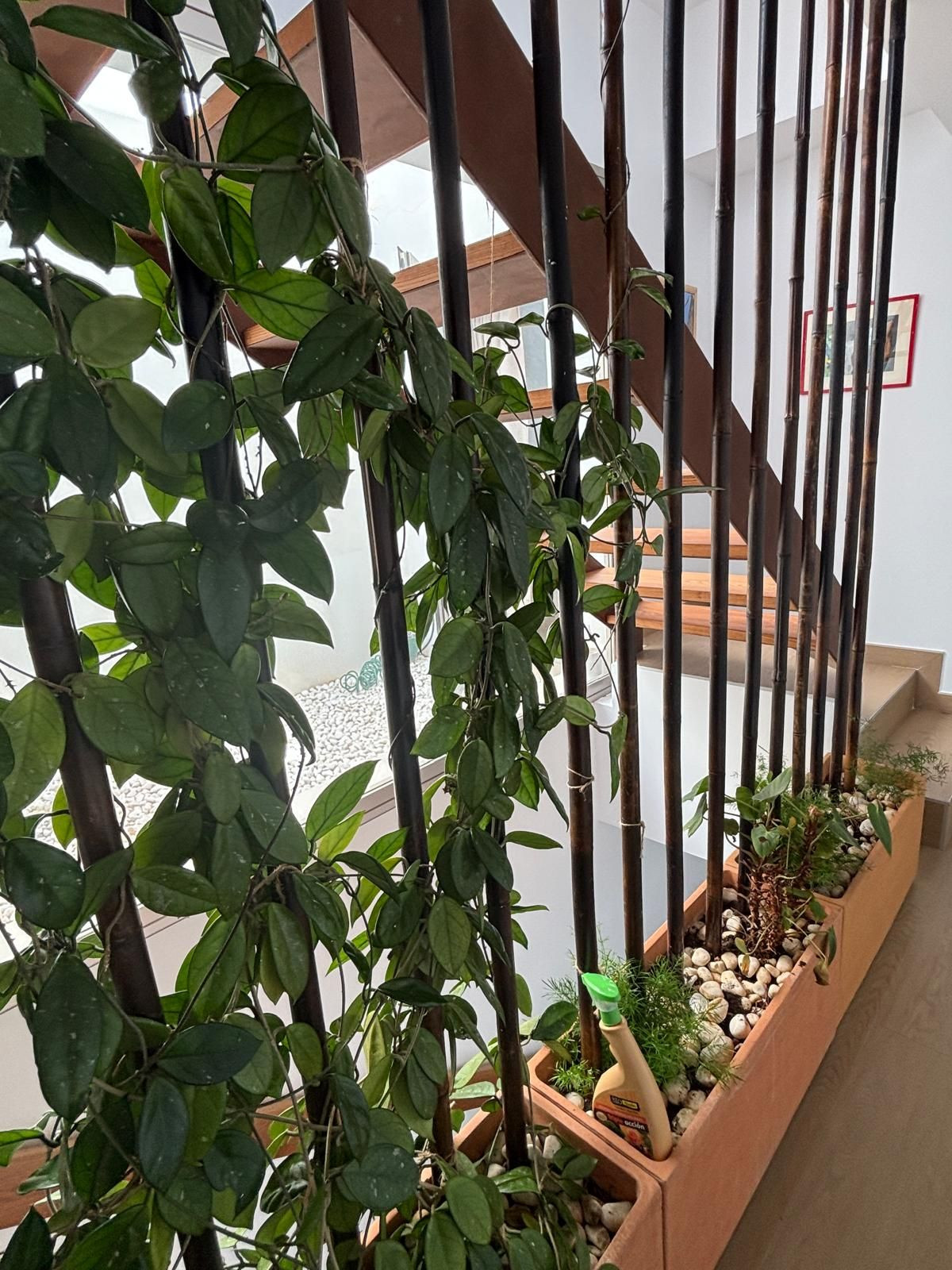 Huis te koop in Los Pacos | 4 slaapkamers H5153542