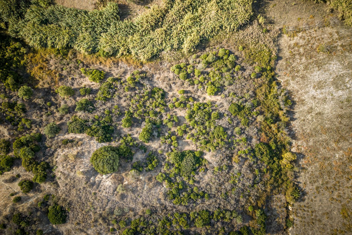 Property main view 15