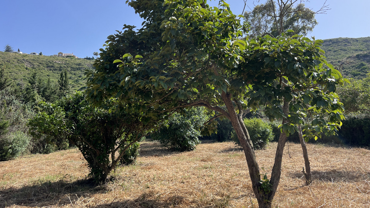 Property main view 20