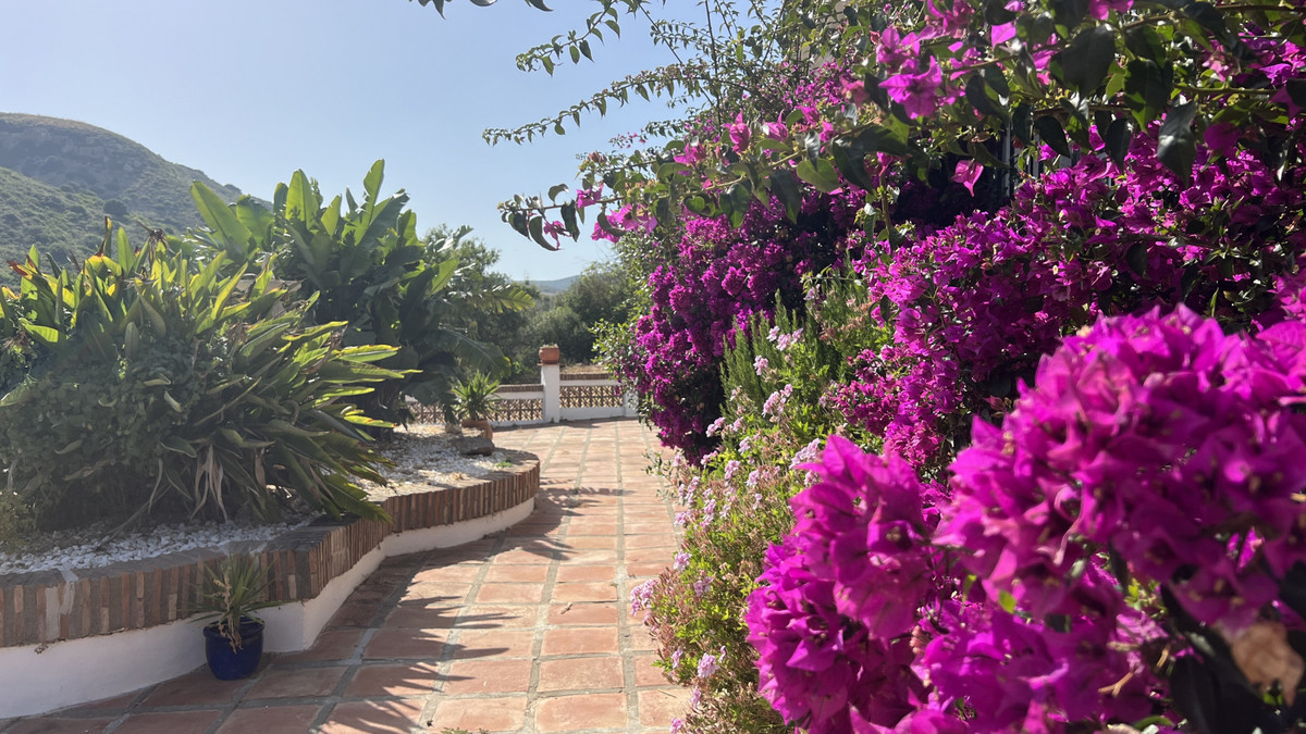 Property main view 3