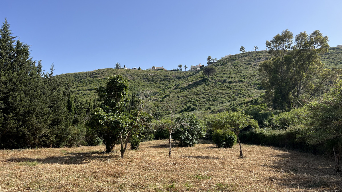 Property main view 32