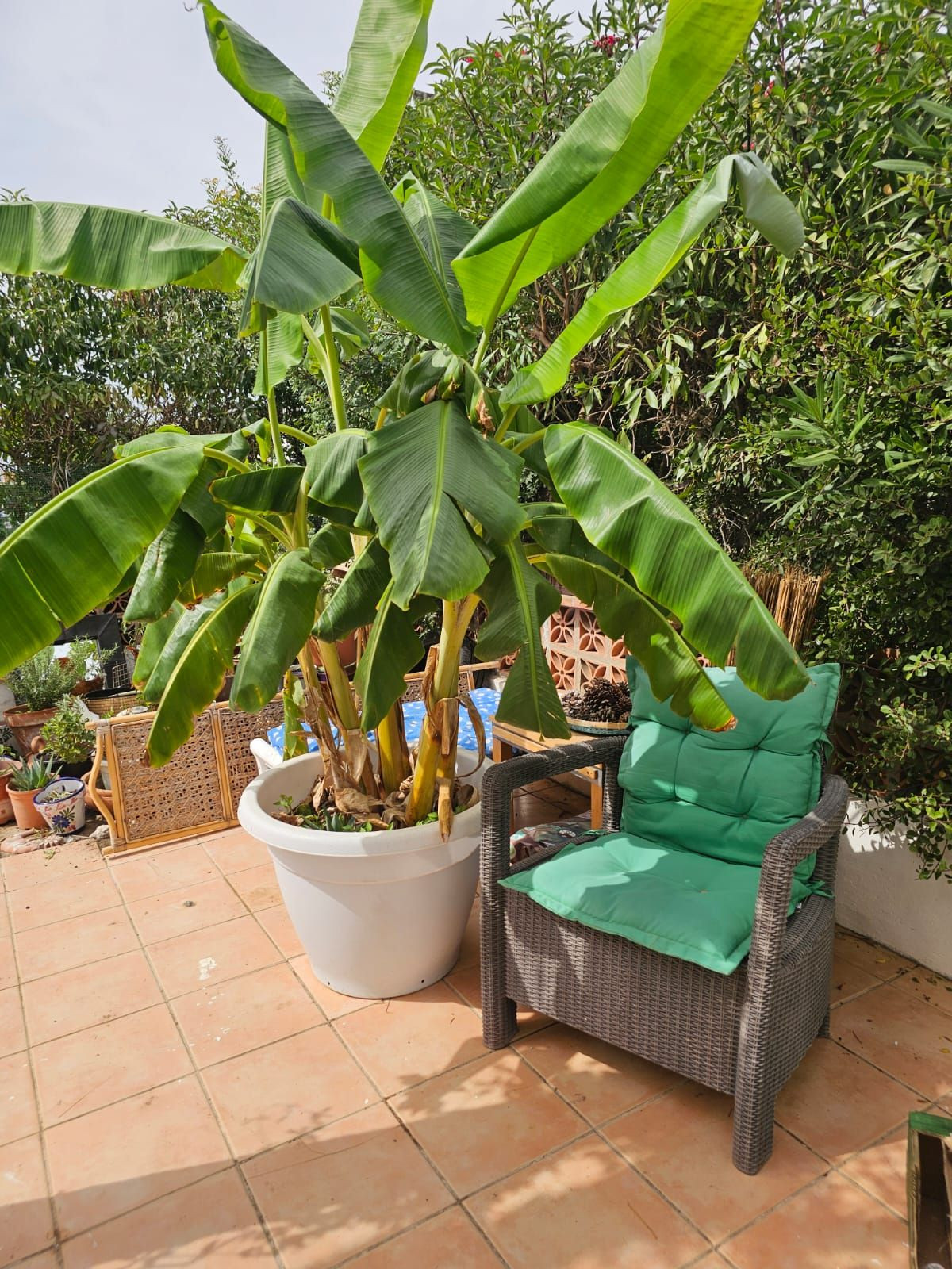Huis te koop in Manilva | 3 slaapkamers H5480512