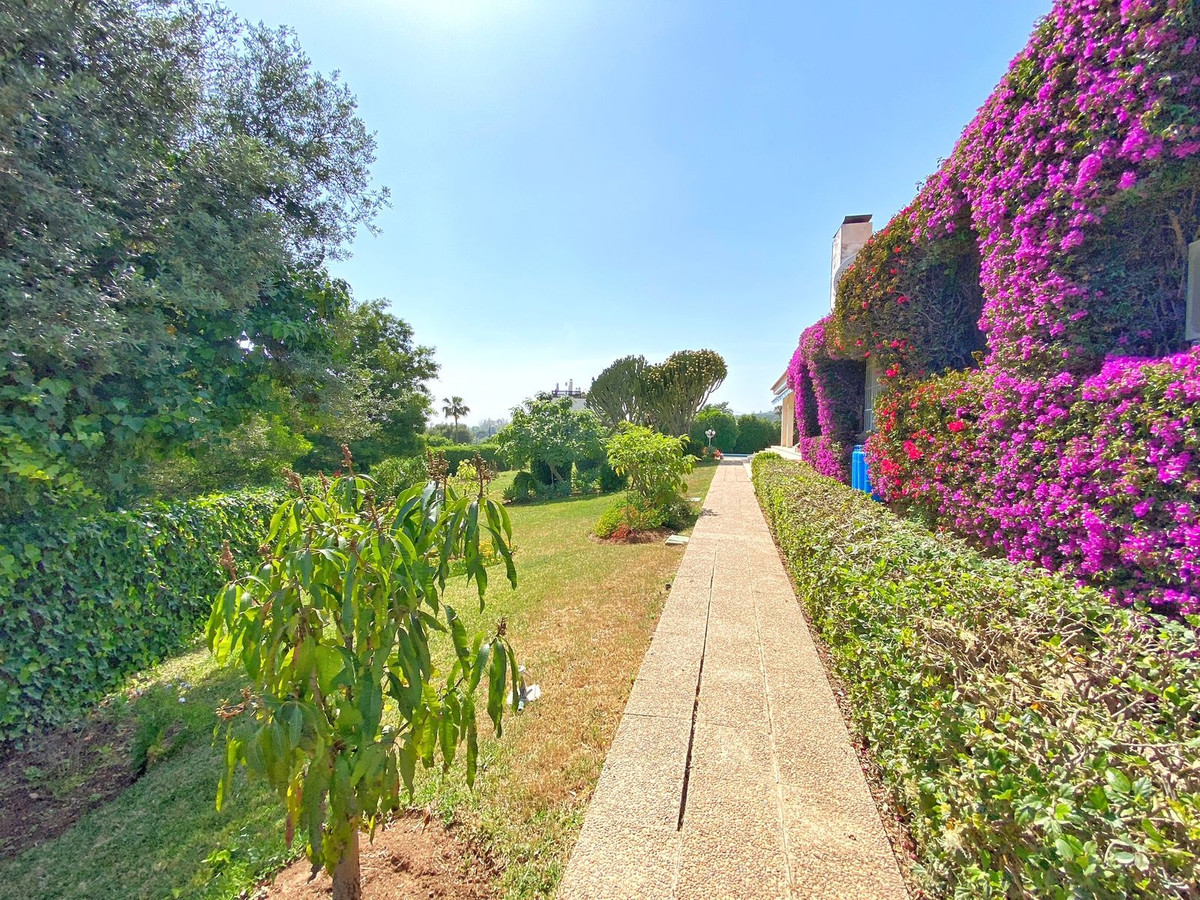 Property main view 19