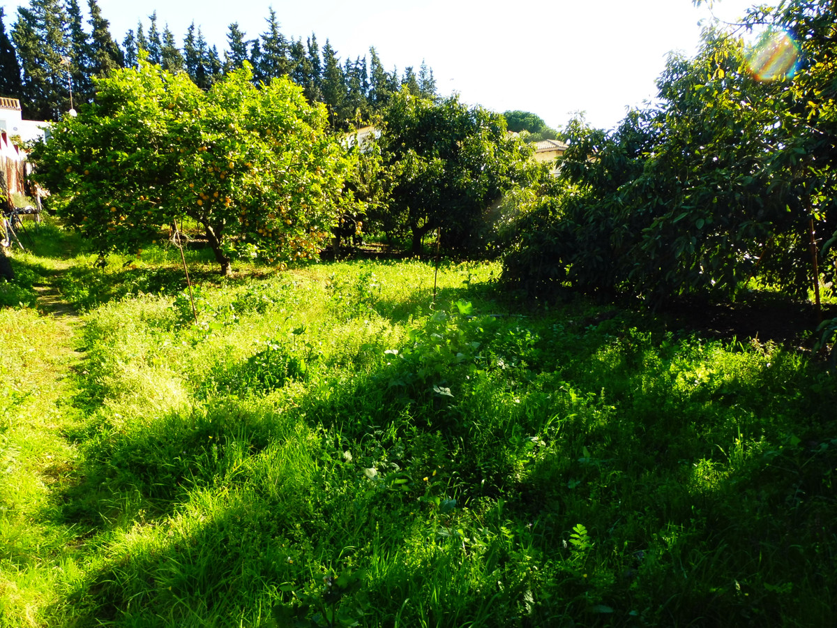 Property main view 17