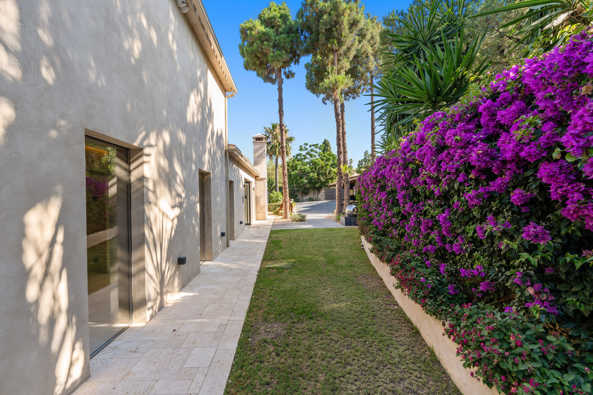 Property main view 41