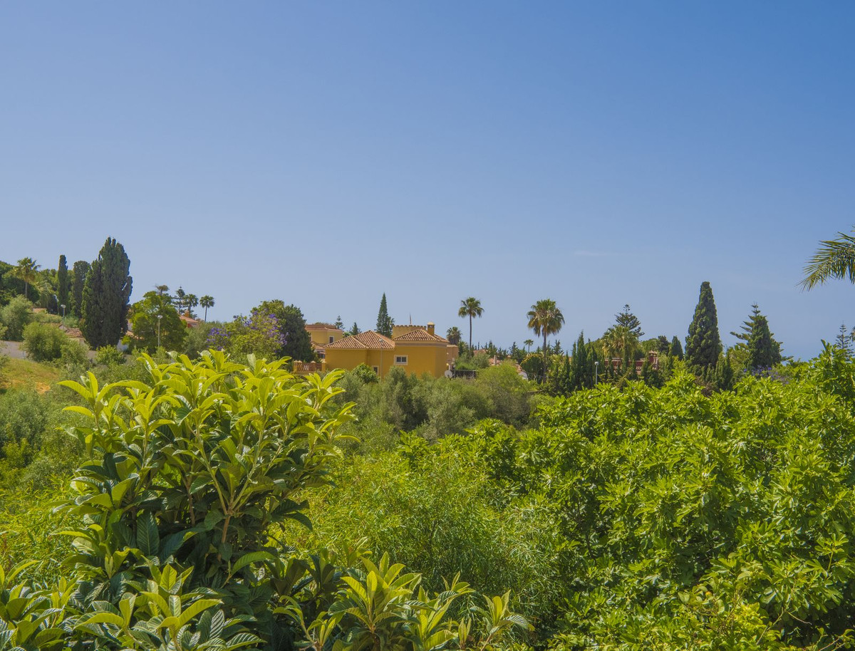 Property main view 46