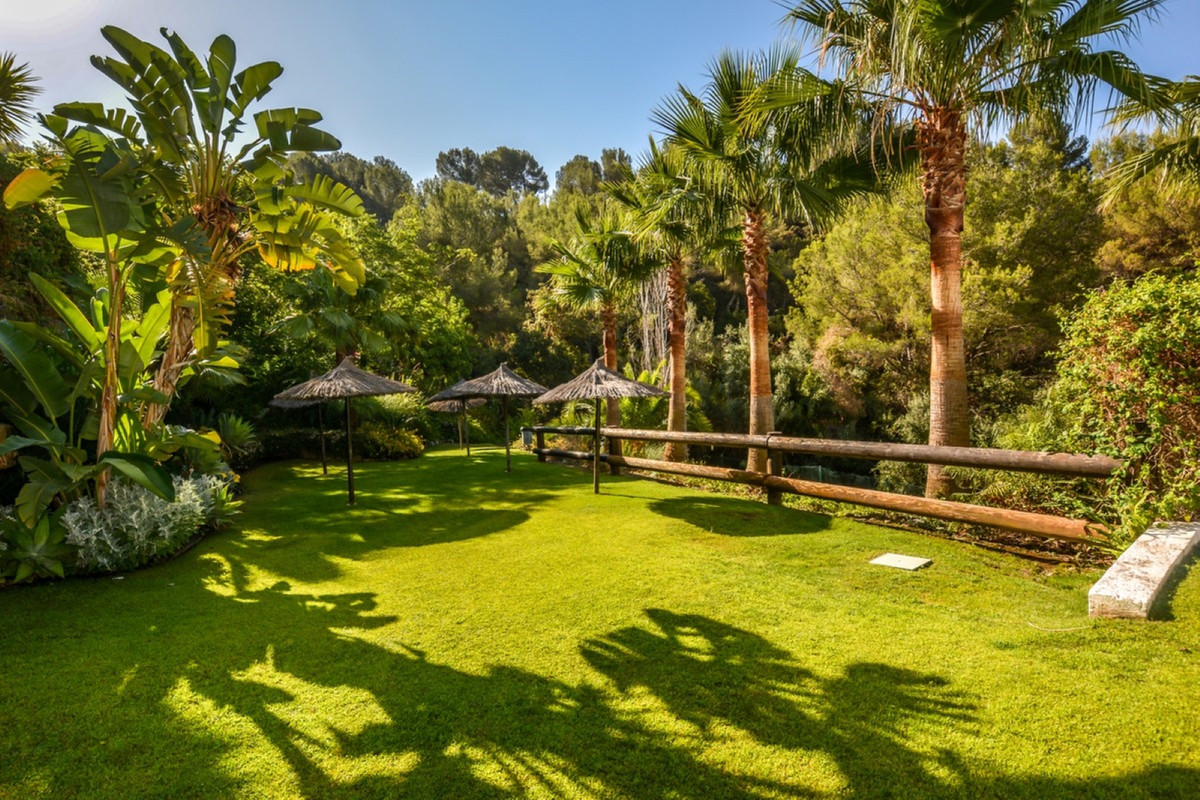 Property main view 21