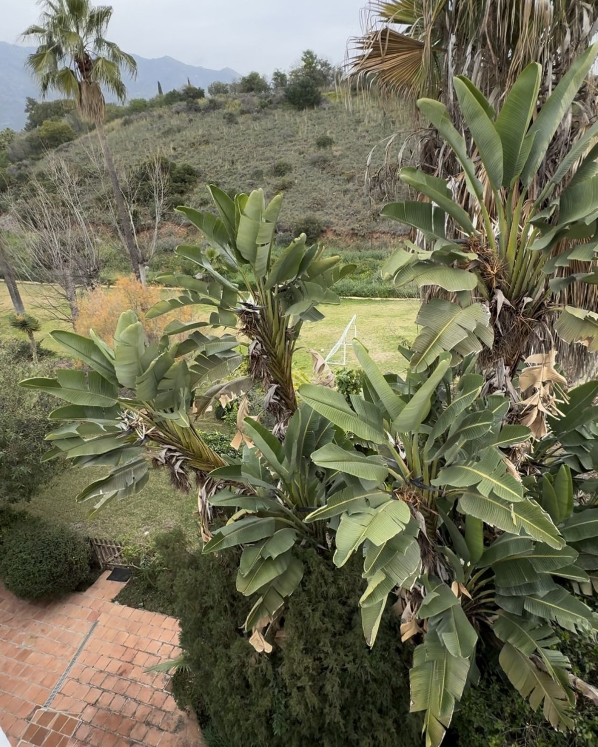 Property main view 26