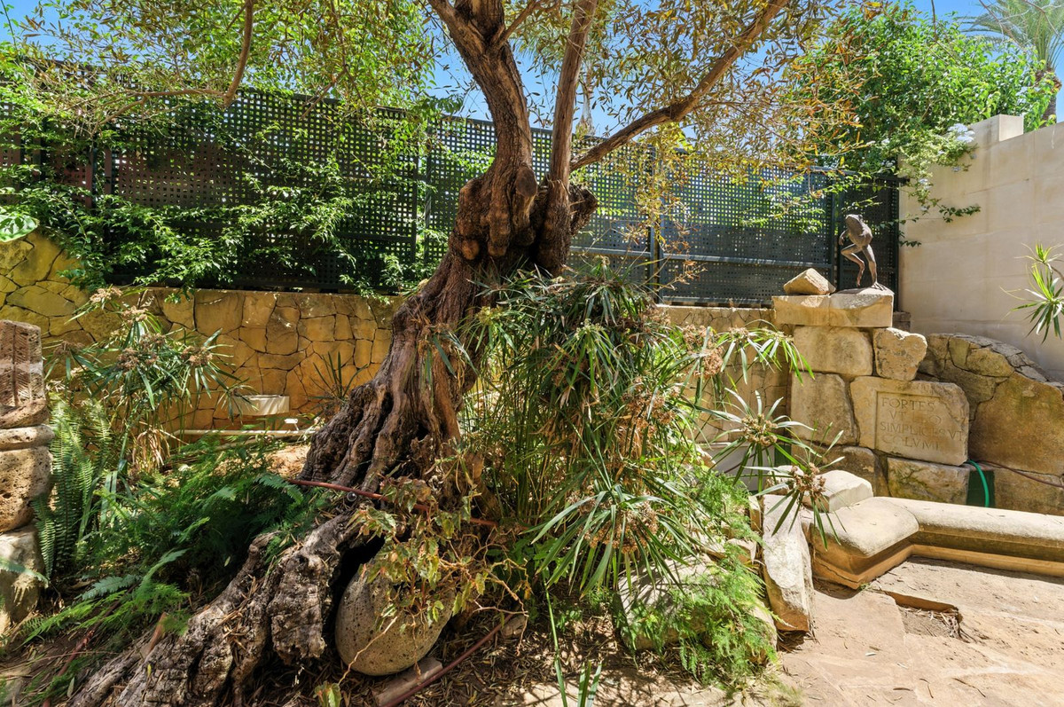 Property main view 25