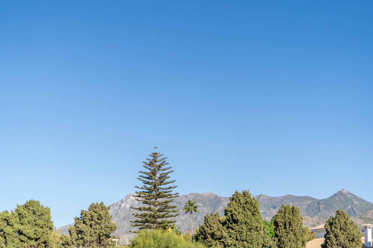 Property main view 51