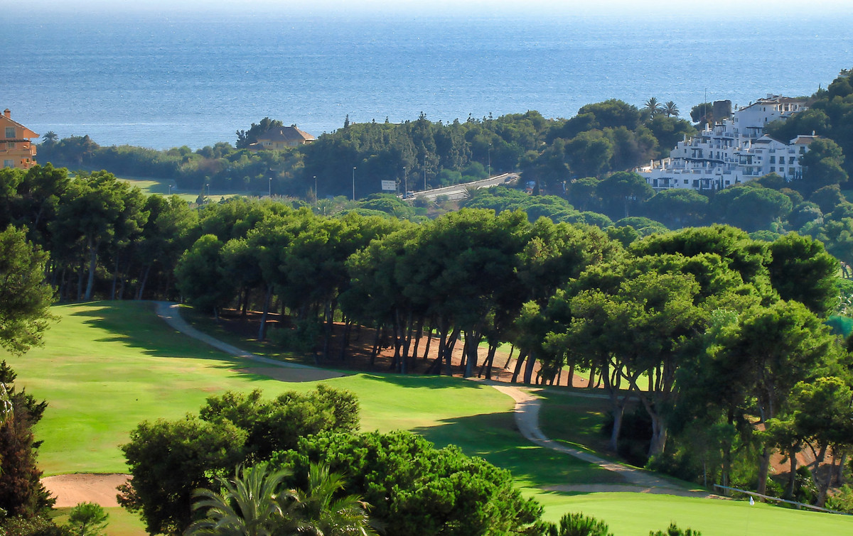 Property main view 32