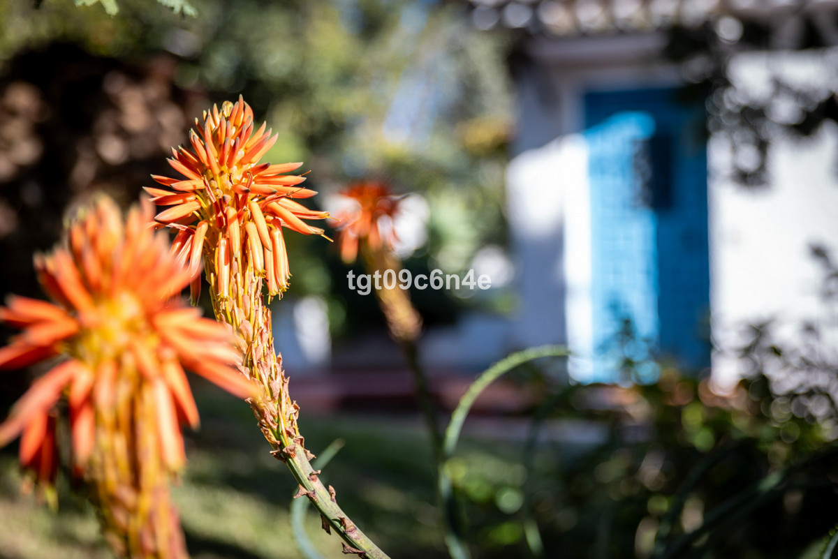 Finca - Cortijo te koop in Marbella | 4 slaapkamers H5272534