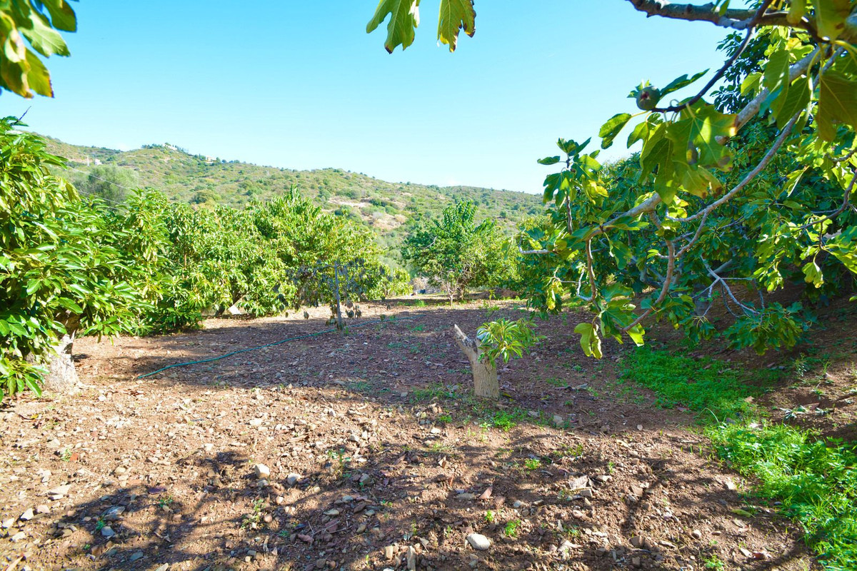 Finca - Cortijo te koop in Marbella | 2 slaapkamers H5272687