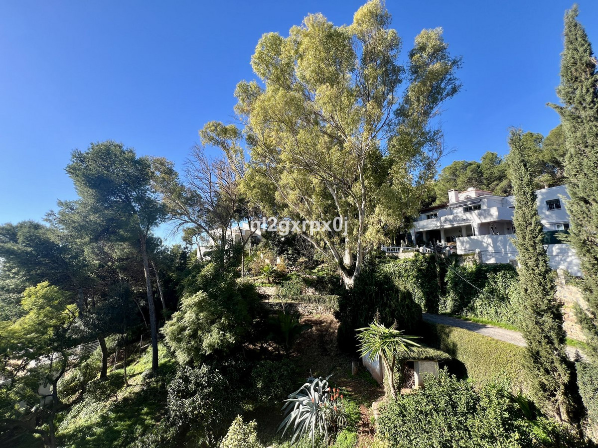 Property main view 37