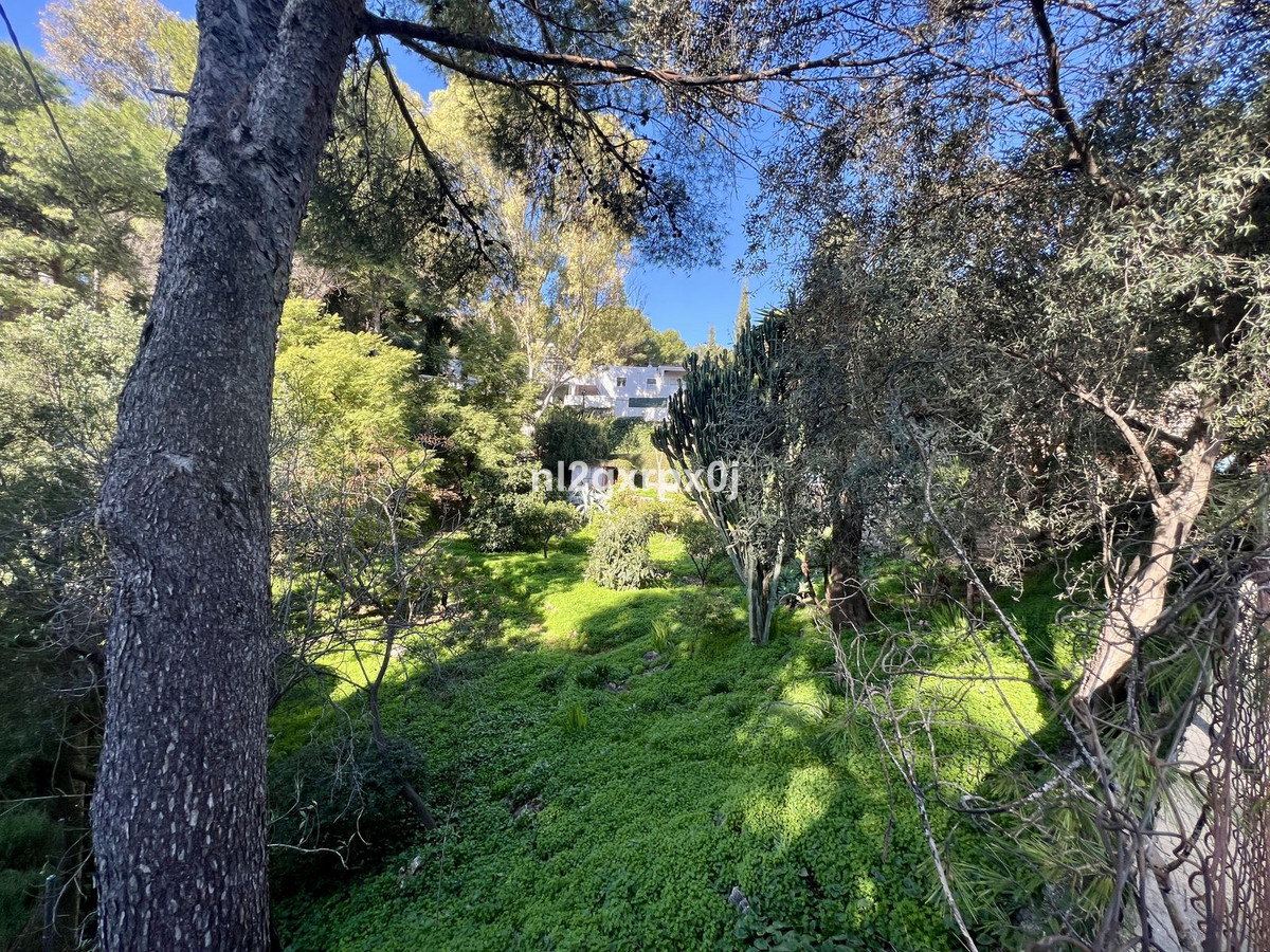 Property main view 50