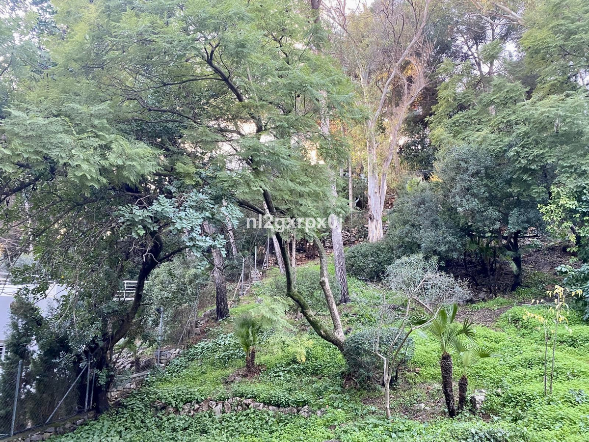 Property main view 55