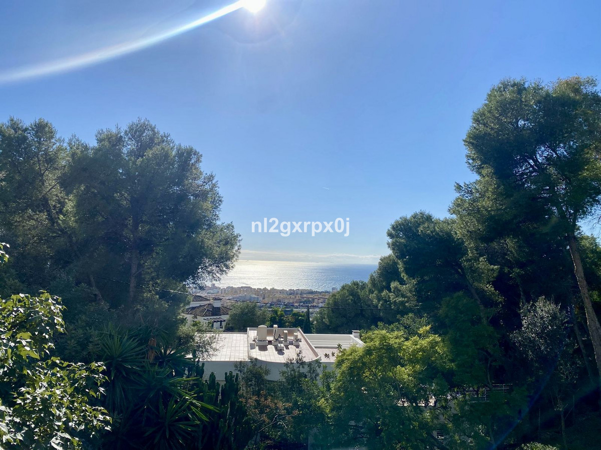 Property main view 58