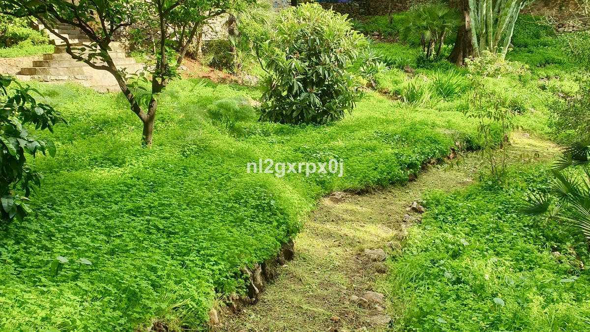 Property main view 59