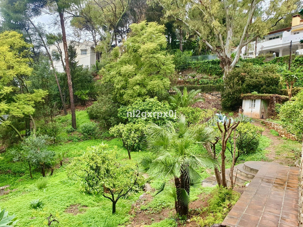 Property main view 60