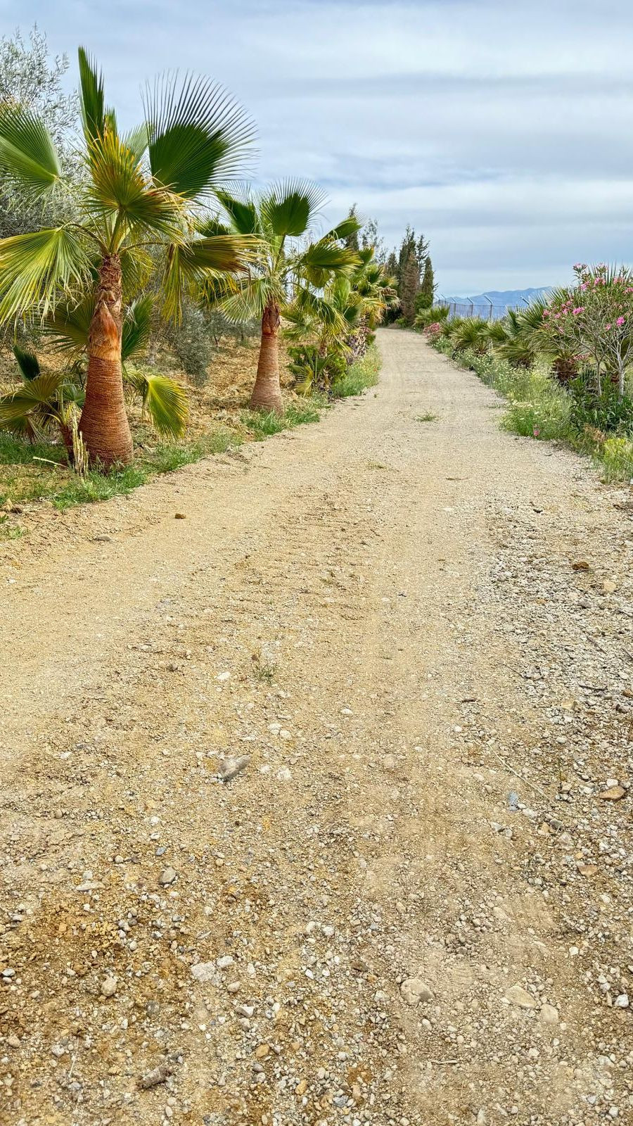 Appartement te koop in Marbella | 3 slaapkamers H5377951