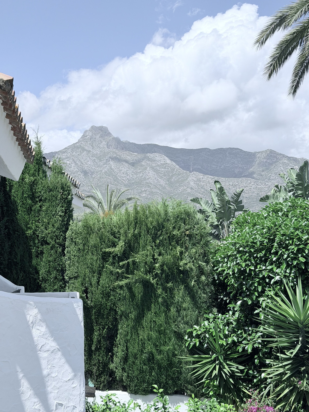 Property main view 13